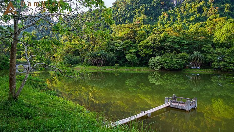 Du lịch Hoa Lư-Tam Cốc-Cúc Phương