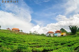 Du lịch Mộc Châu Arena Village