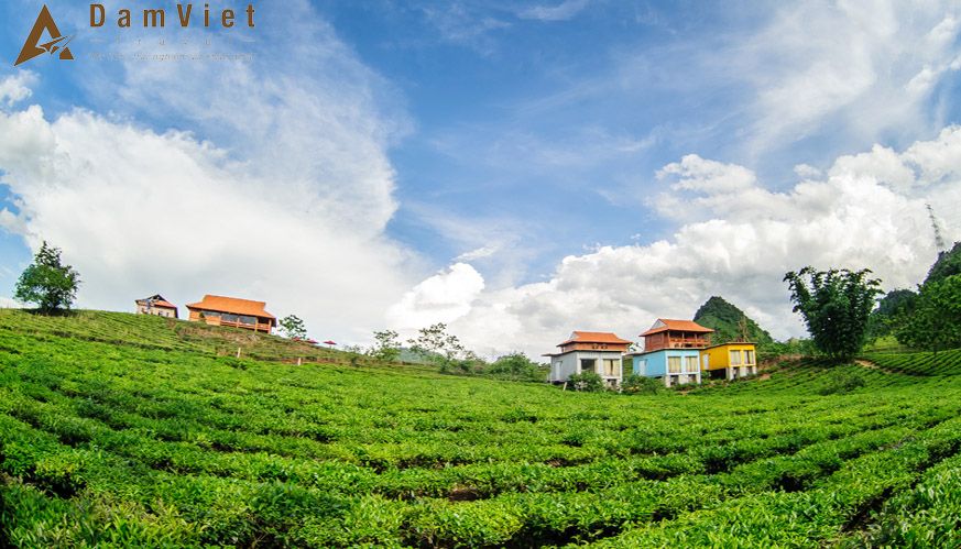 Combo du lịch Mộc Châu