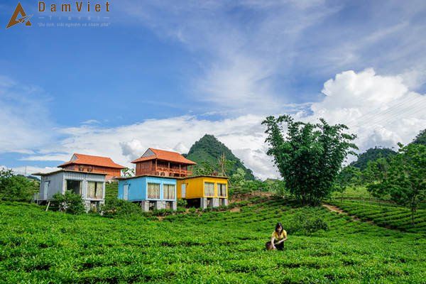 Combo du lịch Mộc Châu