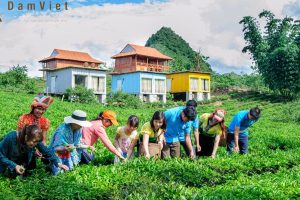 Khám phá Mộc Châu Arena Village