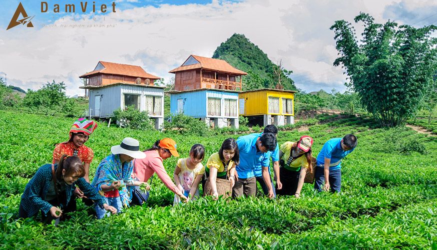 Khám phá Mộc Châu Arena Village