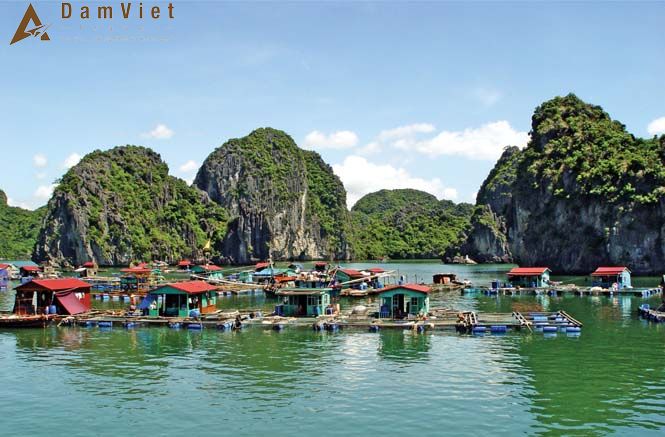 Làng Chài Cổ