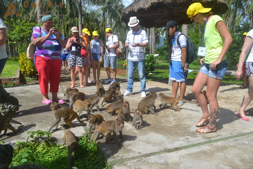 Nha Trang – Du Ngoạn Đảo – Chùa Long Sơn