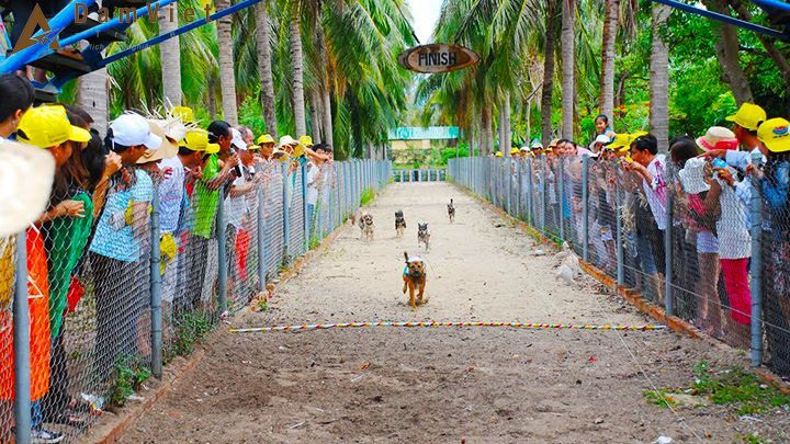 Nha Trang – Du Ngoạn Đảo – Chùa Long Sơn