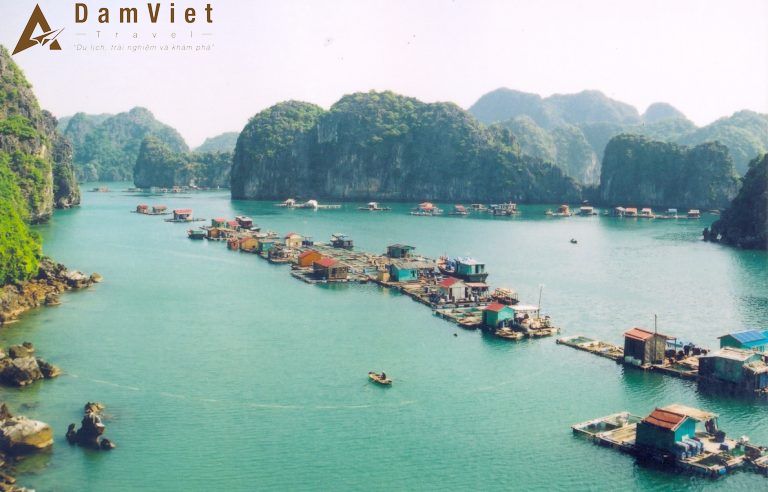 Vịnh Lan Hạ ở Hạ Long