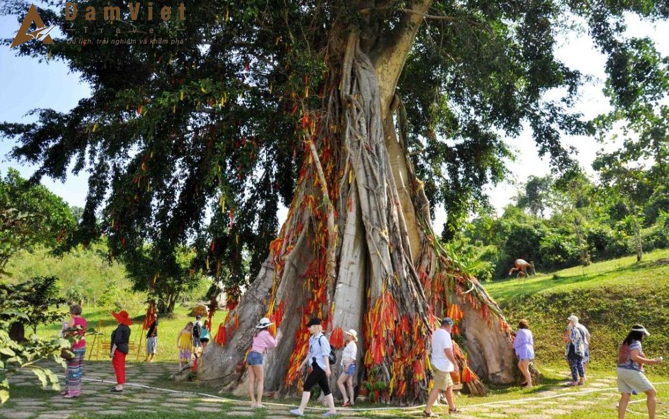 Nha Trang – Du Ngoạn Đảo – Thác Yangbay