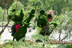 Du ngoạn Vịnh Nha Phu – Khám phá đảo Khỉ, đảo Hoa Lan