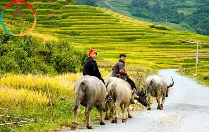 Du lịch Sapa tháng 10