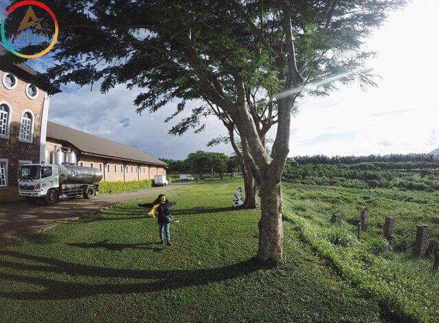 Da Lat Milk Farm