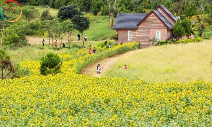 Da Lat Milk Farm