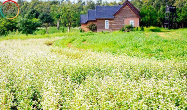 Da Lat Milk Farm