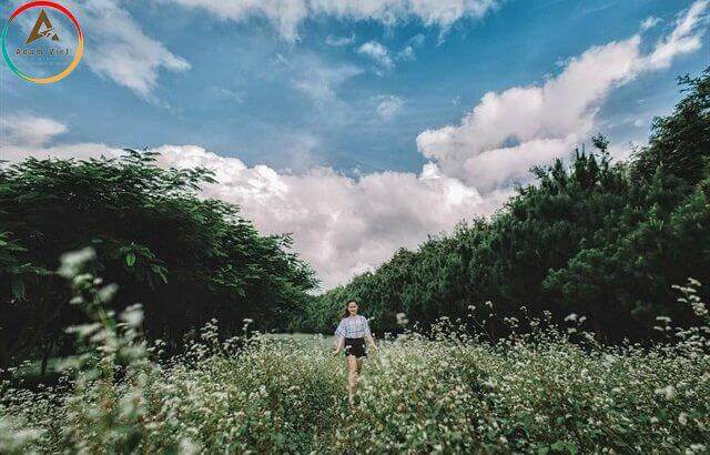 Da Lat Milk Farm