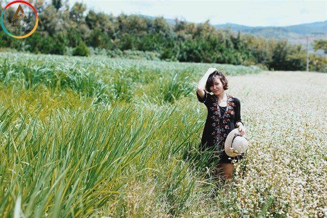 Da Lat Milk Farm