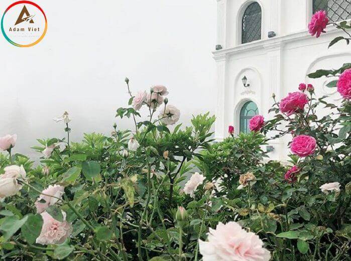 Silk Path Grand Resort & Spa.